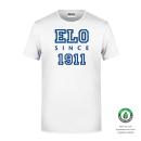 Organic Basic Herren T Shirt